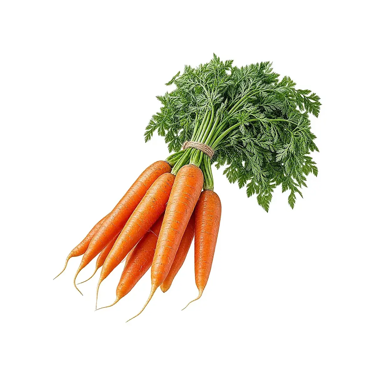 Havuç