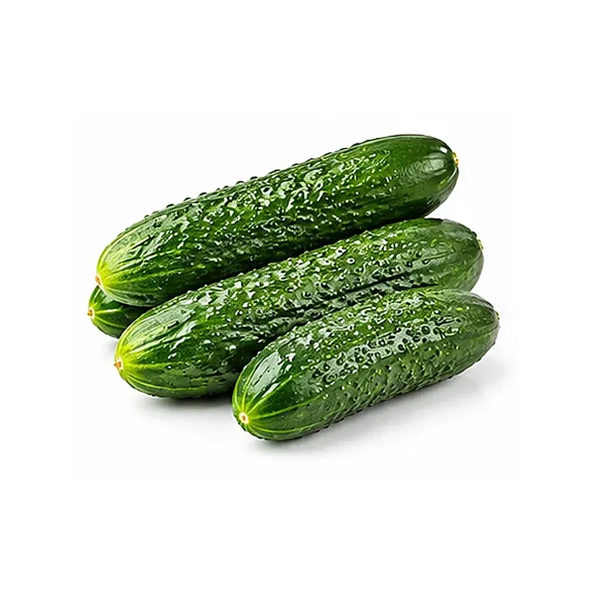 Salatalık