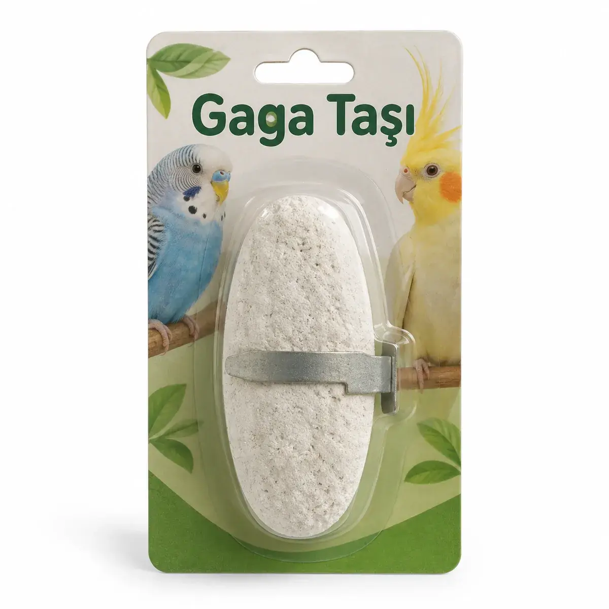 Gaga Taşı