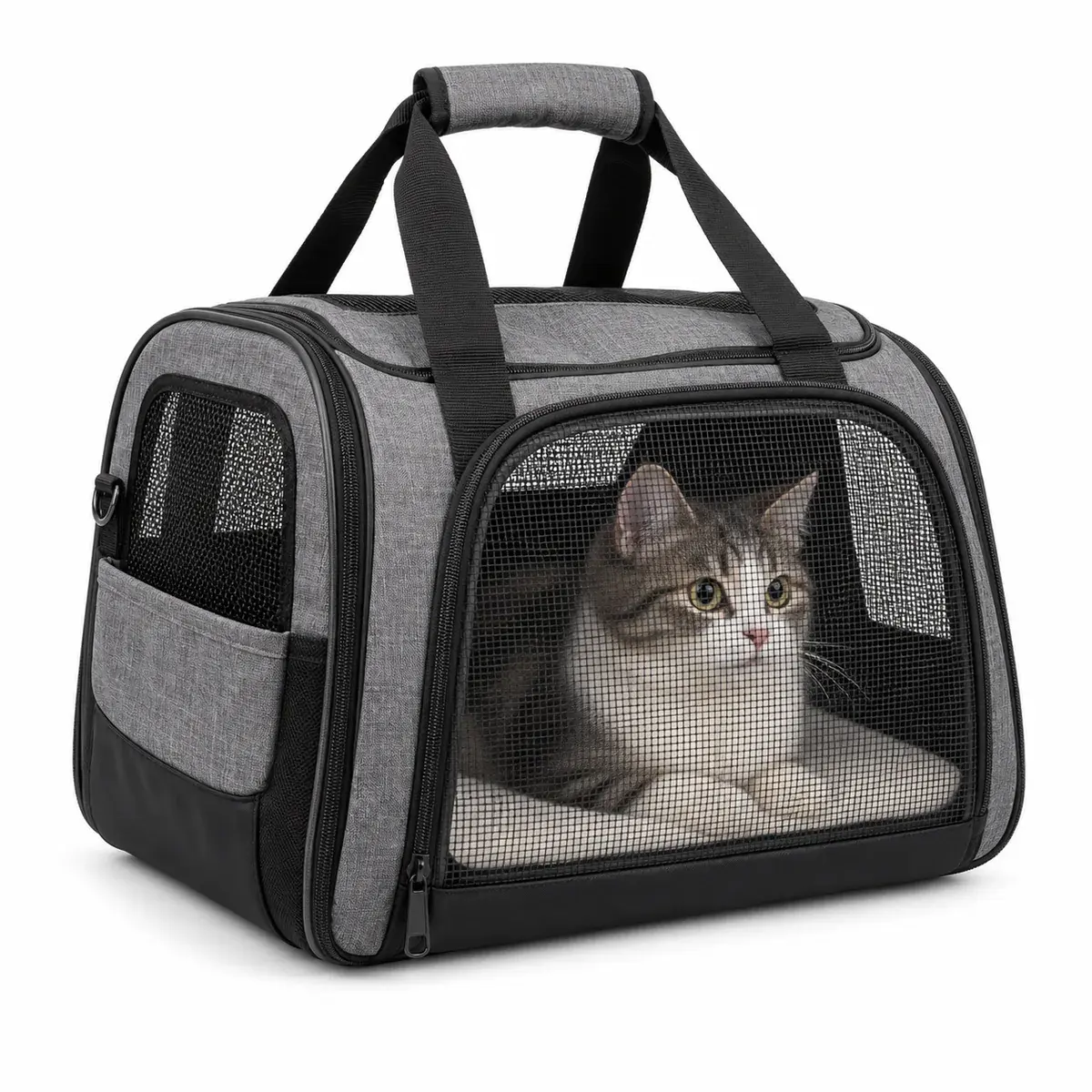 Kedi Taşıma Çantası